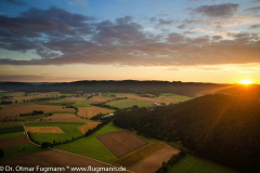 OF140809_4524-ab.jpg