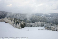 OF150127_0285_L1b.jpg