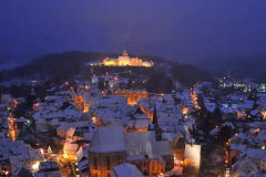 DSC_8871v2_stitch-b.jpg