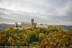 DSC_5692-a.jpg